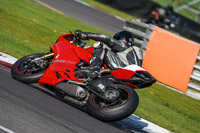 Advanced Group Red Bikes